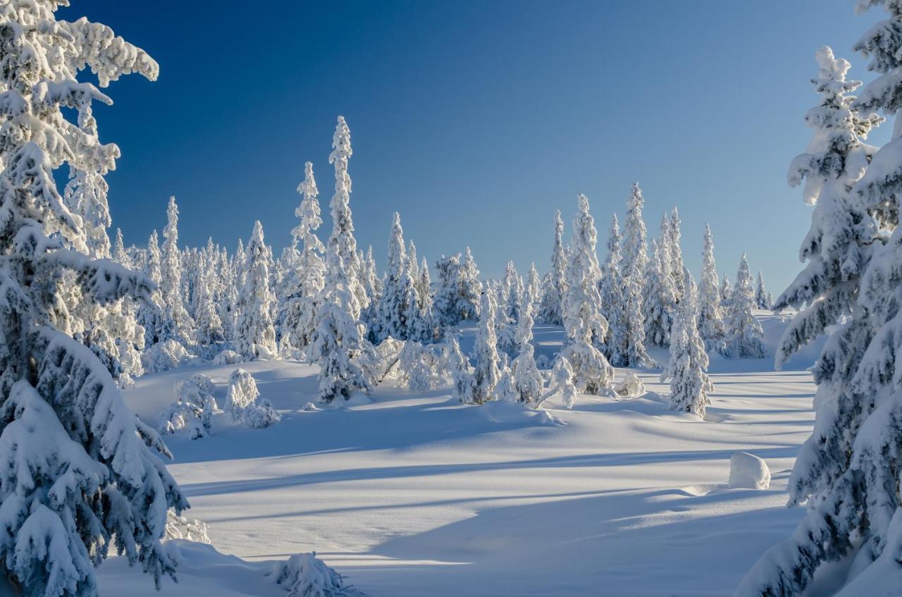 Blefjell Lodge Lampeland Buitenkant foto