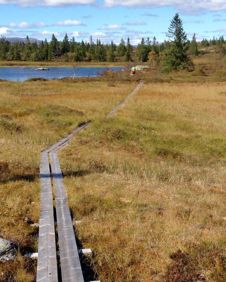 Blefjell Lodge Lampeland Buitenkant foto